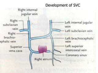 Development of SVC
 