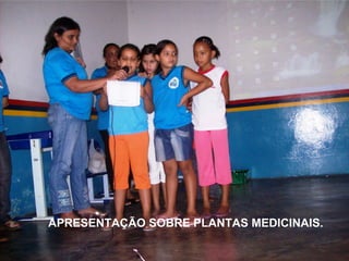 APRESENTAÇÃO SOBRE PLANTAS MEDICINAIS. 