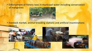 • Enforcement of fishery laws in municipal water including conservation
of mangroves
• livestock market, animal breeding stations and artificial inseminations
centers
 