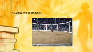 7. Establishment of Cockpit
 