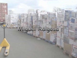 Miguel Raigosa 