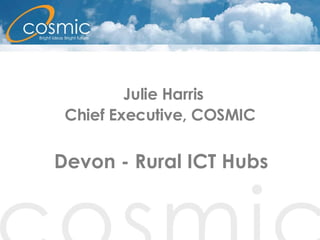   Julie Harris Chief Executive, COSMIC Devon - Rural ICT Hubs 