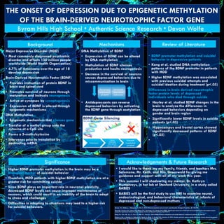 THE ONSET OF DEPRESSION DUE TO EPIGENETIC METHYLATION
OF THE BRAIN-DERIVED NEUROTROPHIC FACTOR GENE
Background Mechanisms Review of Literature
Acknowledgements & Future ResearchSignificance
Major Depressive Disorder (MDD)
•  Most commonly diagnosed psychiatric
disorder and affects 150 million people
worldwide (World Health Organization)
•  6.7% of Americans over the age of 18
develop depression
Brain-Derived Neurotrophic Factor (BDNF)
•  Provides instruction of protein BDNF in
brain and spinal cord
•  Promotes survival of neurons through
maturation and instructs neurogenesis
•  Active at synapses by synaptogenesis
•  Expression of BDNF is altered through
epigenetic mechanisms
DNA Methylation
•  Epigenetic mechanism that silences gene
•  Transfer of a methyl group onto the
cytosine at a CpG site
•  Forms a 5-methylcytosine
•  Intervenes prior to translation by
destructing mRNA
DNA Methylation of BDNF
•  Expression of BDNF can be altered
by DNA methylation
•  Methylation of BDNF silences
production and haults neurogenesis
•  Decrease in the survival of neurons
causes depressed behaviors due to
miscommunication in brain
•  Antidepressants can reverse
depressed behaviors by activating
the BDNF gene through acetylation
•  I would like to thank my my family, friends, and teachers Mrs.
Salomone, Mr. Keith, and Mrs. Greenwald for giving me
guidance and support with all of my work this year.
•  This summer I will shadowing my mentor, Dr. Kathryn
Humphreys, in her lab at Stanford University, in a study called
BABIES
•  BABIES will be the first study to use MRI to examine neural,
endocrinological, and behavioral characteristics of infants of
depressed and non-depressed mothers
Transcription
Censor
molecules
intervene &
destroy mRNA
Prevents
translation
of BDNF
•  BDNF promoter methylation and suicidal
behavior in depressive patients
•  Kang et al. studied DNA methylation
patterns of the BDNF promoter in patients
with MDD
•  Higher BDNF methylation was associated
with previous suicidal attempts and
suicidal ideation during treatment (p<.05)
Differences in brain derived neurotrophic
factor protein levels of depressed
individuals who died through suicide
•  Hayley et al. studied BDNF changes in the
brain to analyze the differences in
depressed behaviors depending on
gender and brain region
•  Significantly lower BDNF levels in suicide
patients (p<.05)
•  Hippocampus and frontal cortex showed
significantly decreased patterns of BDNF
(p<.05)
• 
•  Higher BDNF promoter methylation in the brain may be a
biological marker of suicidal behavior
•  Therefore, MDD patients with higher BDNF methylation are at a
greater risk for committing suicide
•  Since BDNF plays an important role in neuronal plasticity,
decreased BDNF levels can cause improper maintenance of
neurons, which could result in an inability of the brain to adapt
to stress and challenges
•  Difficulties in adapting to situations may lead to a higher risk
for suicidal behaviors.
Byram Hills High School • Authentic Science Research • Devon Wolfe
Decreased
expression
of BDNF
Increased
depressed
behaviors
	
  	
  
	
  	
  
BDNF Gene Silencing(http://web.stanford.edu/group/hopes/cgi-bin/hopes_test/gene-silencing/)
Duman, R.S., Malberg, J., Nakagawa, S., Dʹ′Sa, C. (2014). Neuronal plasticity and survival in mood disorders. Biological Psychiatry. 48, 732–739.
Dwivedi, Y., Rizavi, H.S., Conley, R.R., Roberts, R.C., Tamminga, C.A., Pandey, G.N. (2003). Altered gene expression of brain-derived neurotrophic factor and receptor tyrosine
kinase B in postmortem brain of suicide subjects. Archives of General Psychiatry. 60, 804–815.
Dang, H.J., Kim, J.M., Lee, J.Y., Kim, S.Y., Bae, K.Y., Yoon, J.S. (2013). BDNF promoter methylation and suicidal behavior in depressive patients. 42, 203-222
Hayley, S., Du, L., Litteljohn, D., Palkovits, M., Faludi, G., Merali, Z., Poulter, M.O., Anisman, H. (2015). Gender and brain regions specific differences in brain derived neurotrophic
factor protein levels of depressed individuals who died through suicide.600, 12-6
 