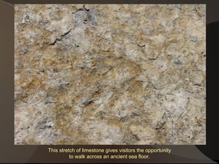 This stretch of limestone gives visitors the opportunity to walk across an ancient sea floor. 