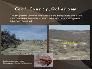 Coal County, Oklahoma The two primary Devonian formations are the Haragan and Bois d' Arc. Over 30 different Devonian trilobite species in about a dozen genera have been described. Acathopyge consanguinea Extremely rare – found at both formations. 