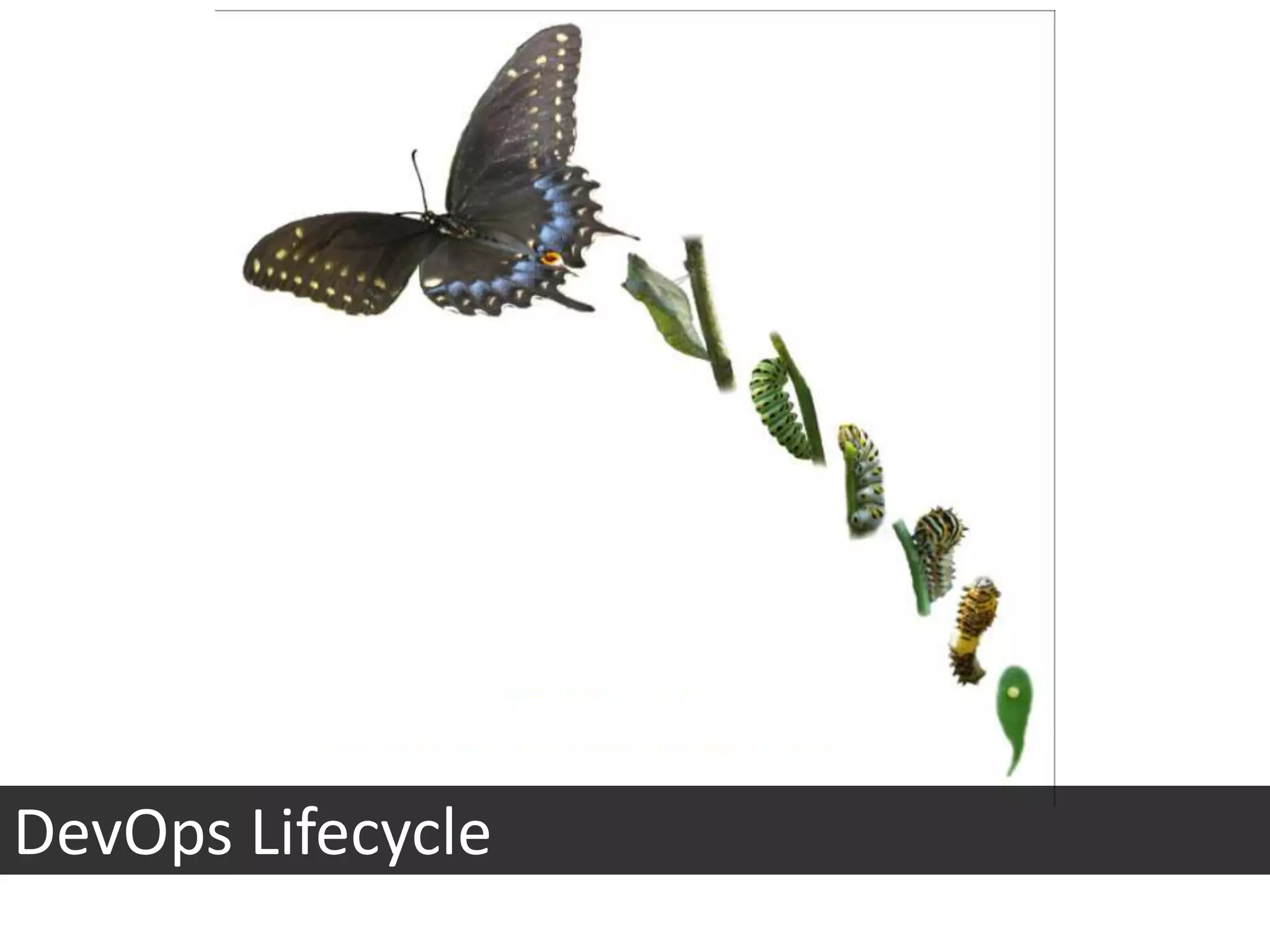 MetricsCapture, learn, improve.  Assists in:Capacity PlanningTrend AnalysisFault FindingSimple as saving Tomcat access infoPlotted on a graph over time