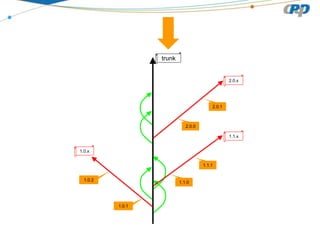 2.0.0
1.0.1
trunk
2.0.1
1.0.2
1.1.0
1.1.1
1.0.x
1.1.x
2.0.x
 