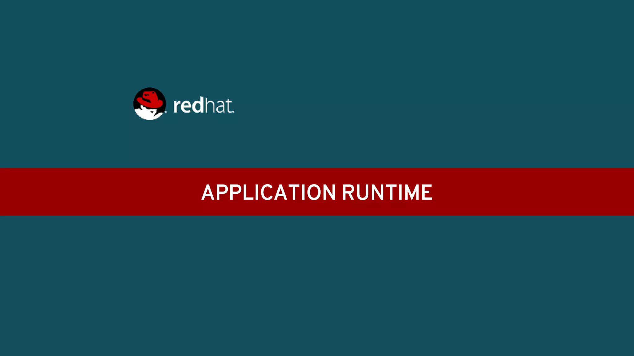 APPLICATION RUNTIME
 