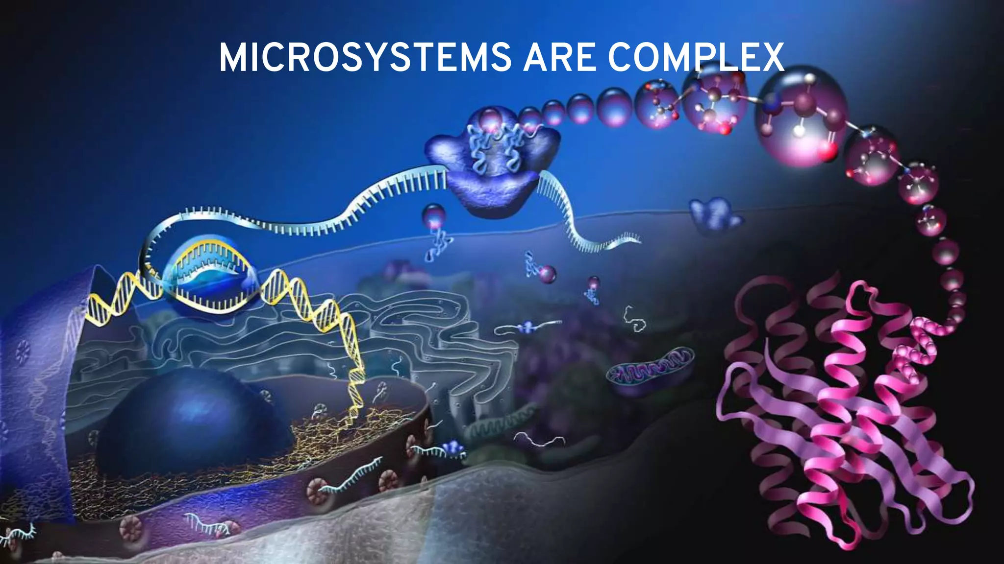 Red Hat Confidential
MICROSYSTEMS ARE COMPLEX
 