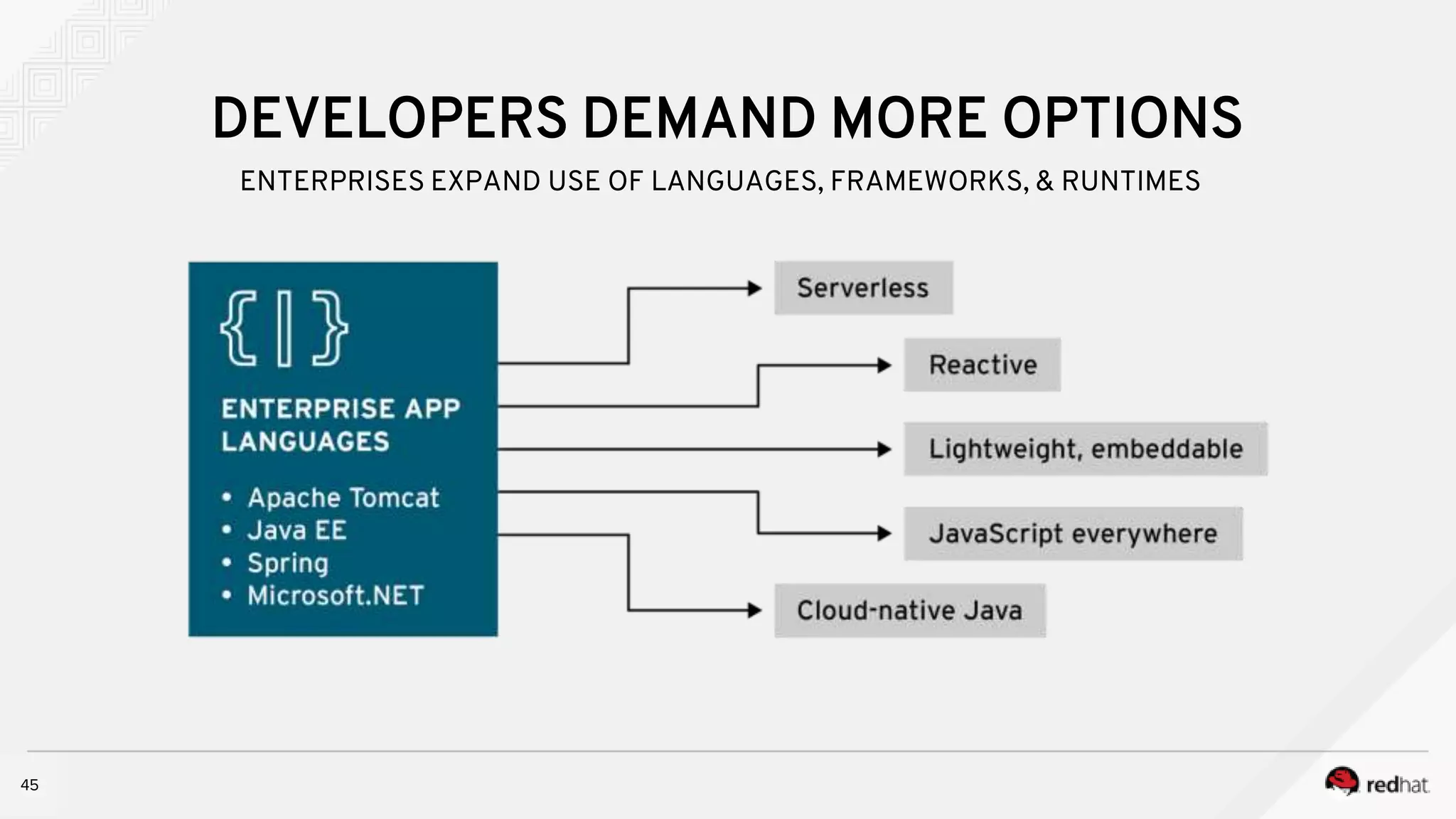4545
DEVELOPERS DEMAND MORE OPTIONS
ENTERPRISES EXPAND USE OF LANGUAGES, FRAMEWORKS, & RUNTIMES
 