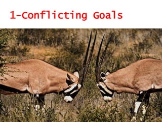 1-Conflicting Goals
 