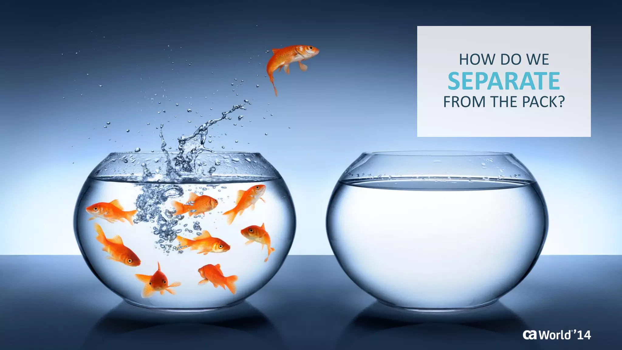 10 
© 2014 CA. ALL RIGHTS RESERVED. 
SEPARATE 
HOW DO WE 
FROM THE PACK?  