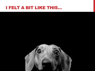 I FELT A BIT LIKE THIS…
 