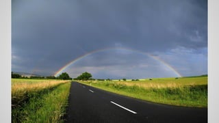 O que eles contam...
…o conto de fadas...
 