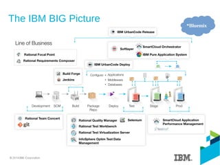The IBM BIG Picture
*Bluemix
 