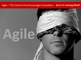 Agile – The Culture that Encourages Innovation… but is it running blind?

Agile

 
