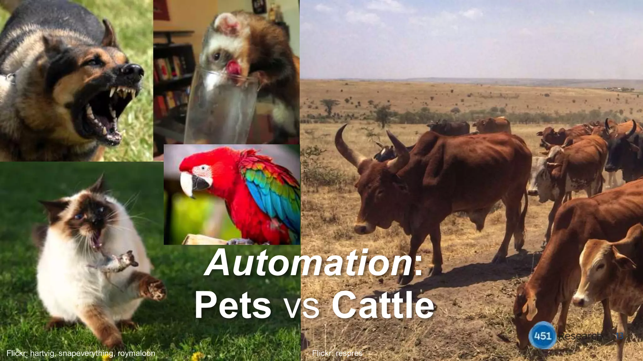 13
Flickr: respresFlickr: hartvig, snapeverything, roymaloon
Automation:
Pets vs Cattle
 