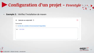 47
Configuration d’un projet - Freestyle
© 2023-2024 – Module DevOps – Introduction
– Exemple 2 : Vérifiez l’installation de maven
 