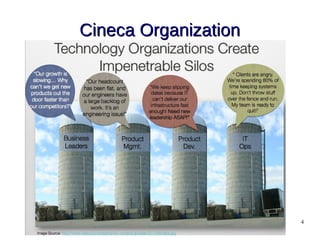 4
Cineca OrganizationCineca Organization
 