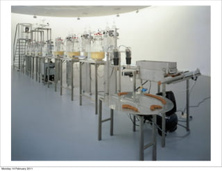 Monday 14 February 2011
 