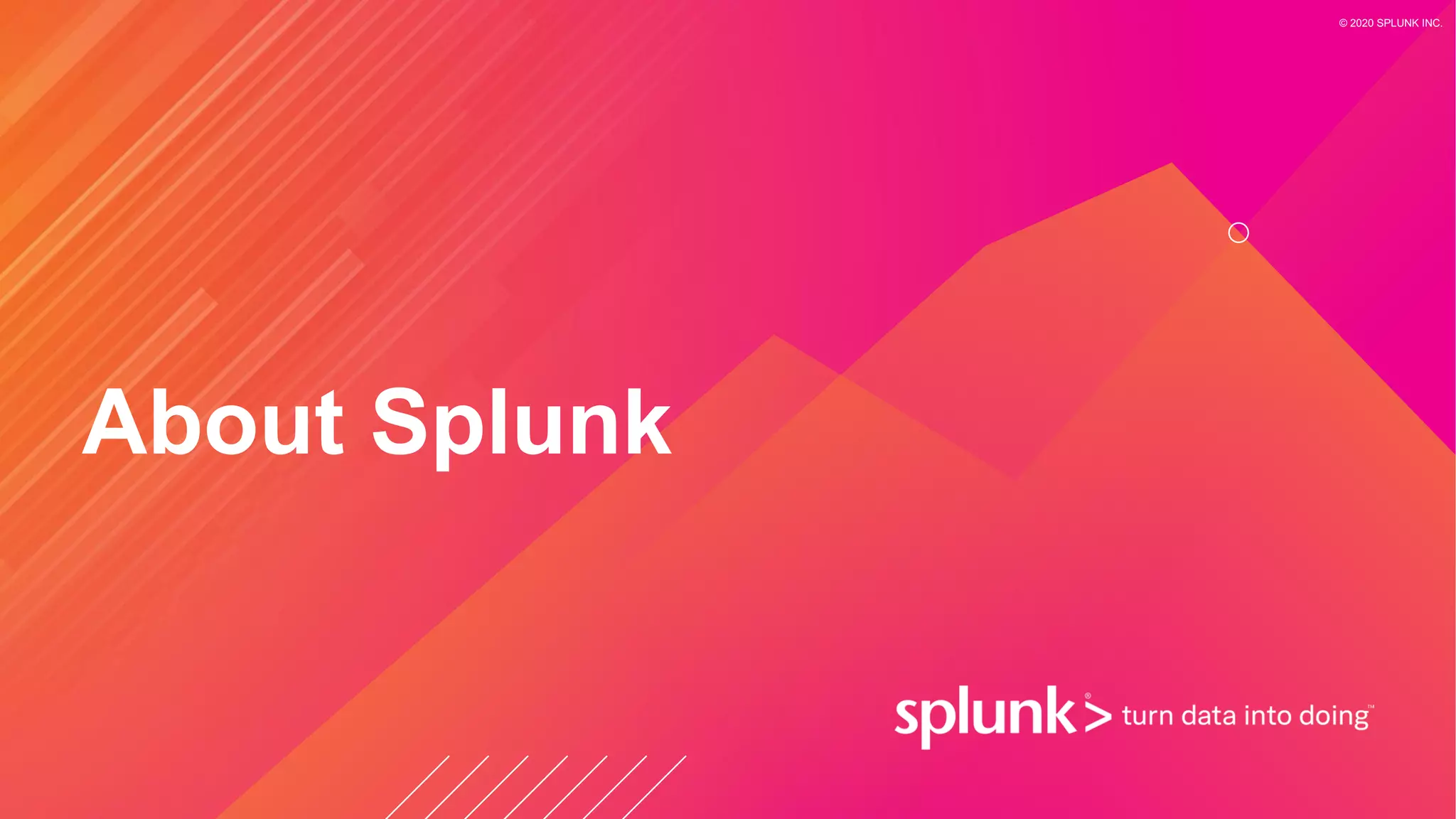 © 2020 SPLUNK INC.
About Splunk
 