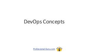 DevOps Concepts
Professional-Guru.com
 