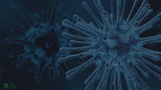 Failure is not an option 