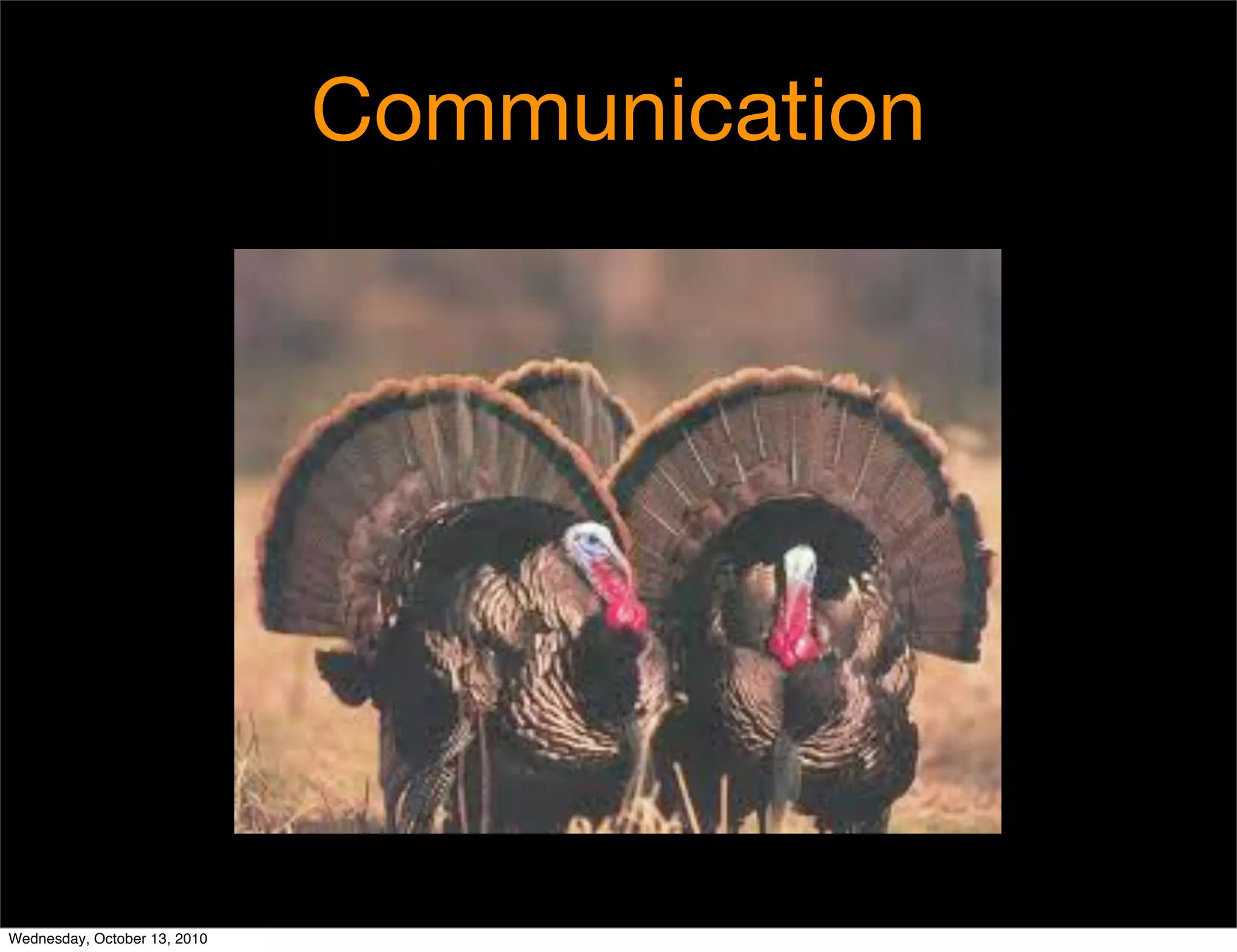 Communication




Wednesday, October 13, 2010
 