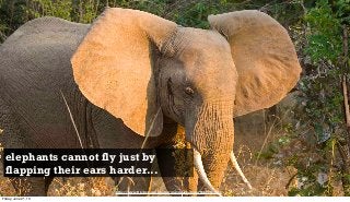 http://www.flickr.com/photos/garymacfadyen/6860004327/
elephants cannot fly just by
flapping their ears harder...
Friday, June 21, 13
 