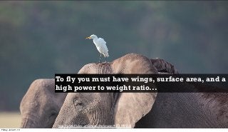 elephants cannot fly by flapping
their ears harder...
http://www.ﬂickr.com/photos/lhirlimann/4872199920/
To fly you must have wings, surface area, and a
high power to weight ratio...
Friday, June 21, 13
 