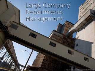 http://www.flickr.com/photos/cammu/5108751670/
Large CompanyLarge Company
DepartmentsDepartments
ManagementManagement
 