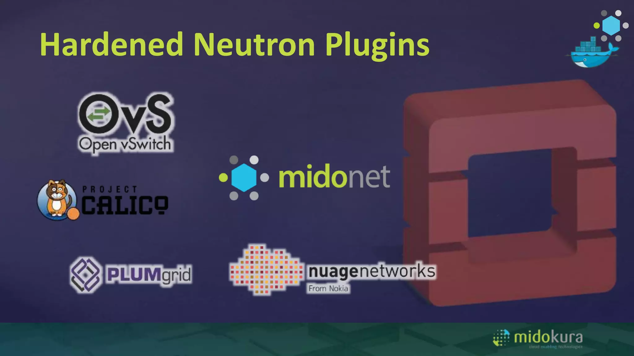 Hardened Neutron Plugins
 