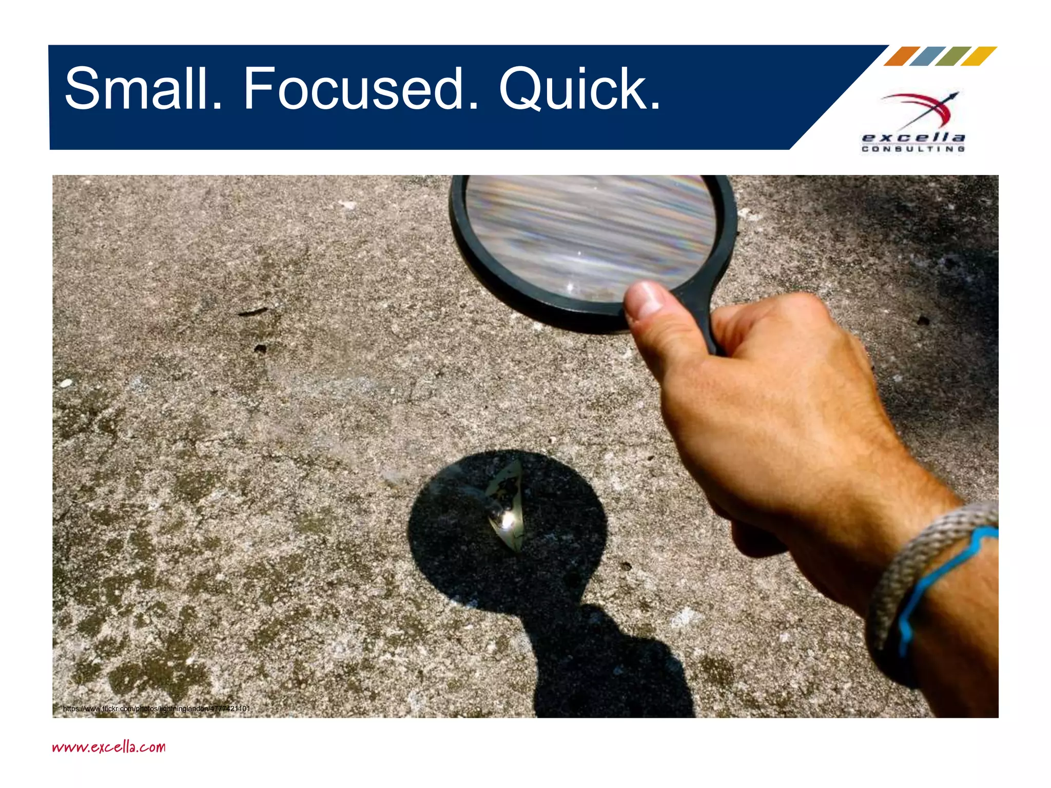 Small. Focused. Quick.
https://www.flickr.com/photos/lightninglandon/4777421101
 