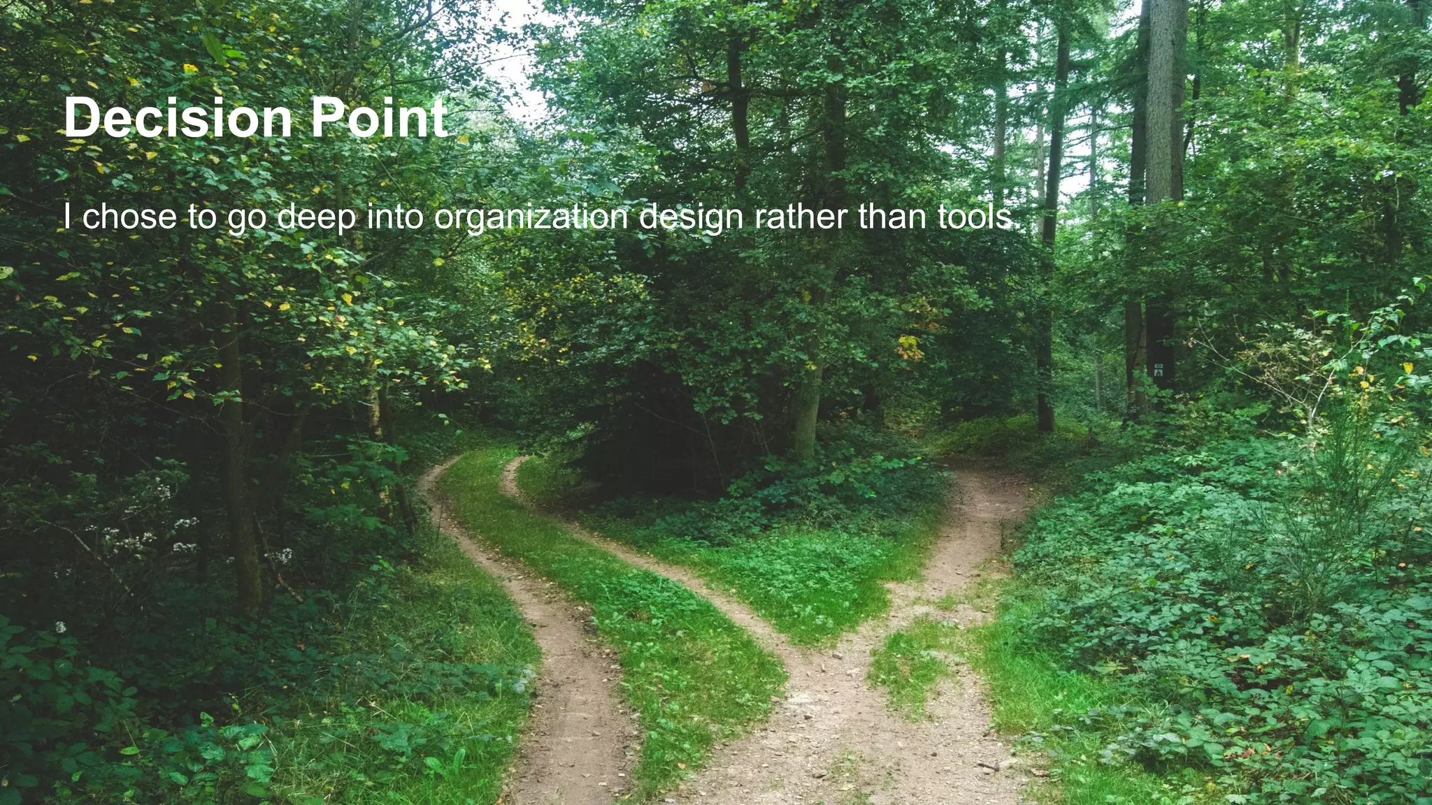 Decision Point
I chose to go deep into organization design rather than tools.
 