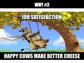 WHY #2
JOB SATISFACTION
HAPPY COWS MAKE BETTER CHEESE
 