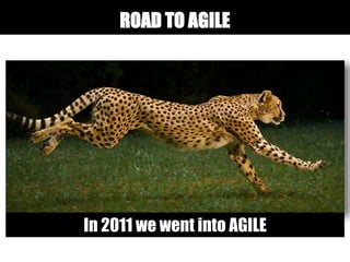 ROAD TO AGILE
In 2011 we went into AGILE
 
