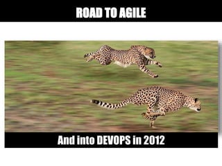 And into DEVOPS in 2012
ROAD TO AGILE
 