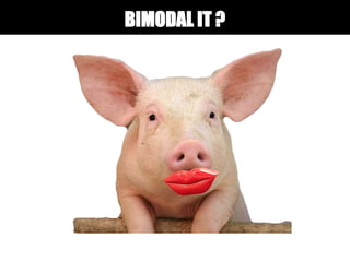 BIMODAL IT ?
 