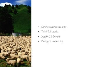 •  Define scaling strategy
•  Think full stack
•  Apply D-I-D rule
•  Design for elasticity
 
