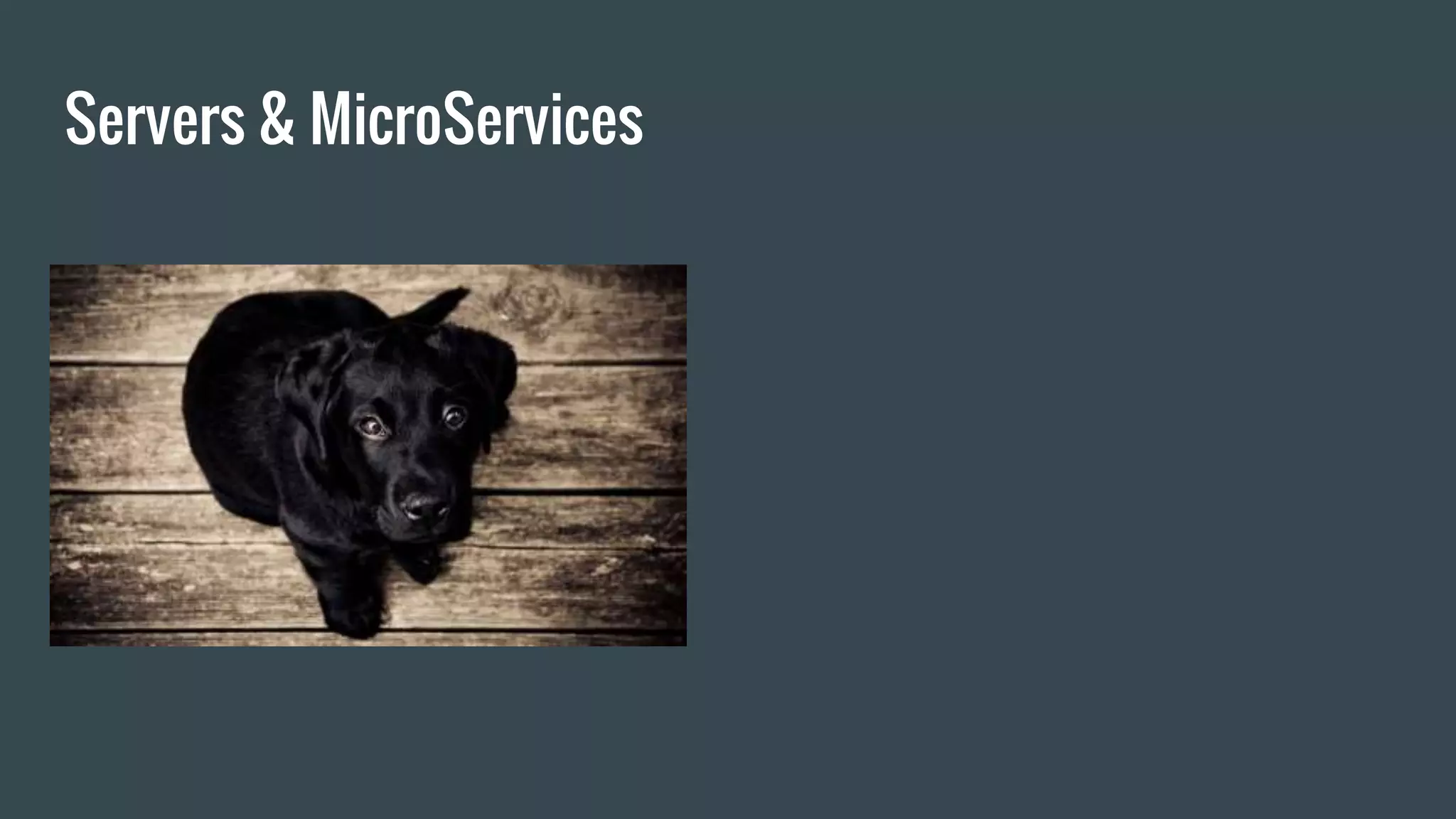 Servers & MicroServices
 