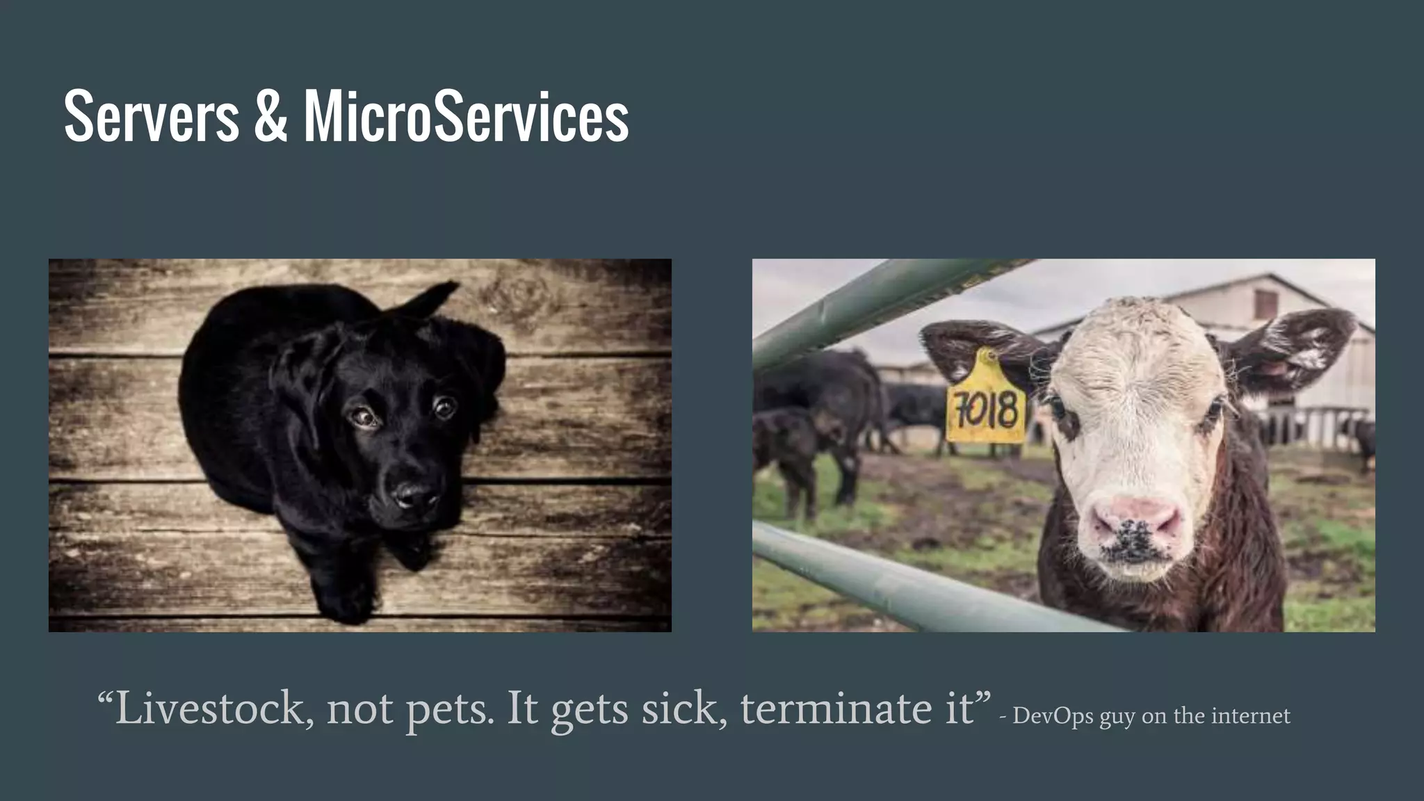 Servers & MicroServices
“Livestock, not pets. It gets sick, terminate it” - DevOps guy on the internet
 
