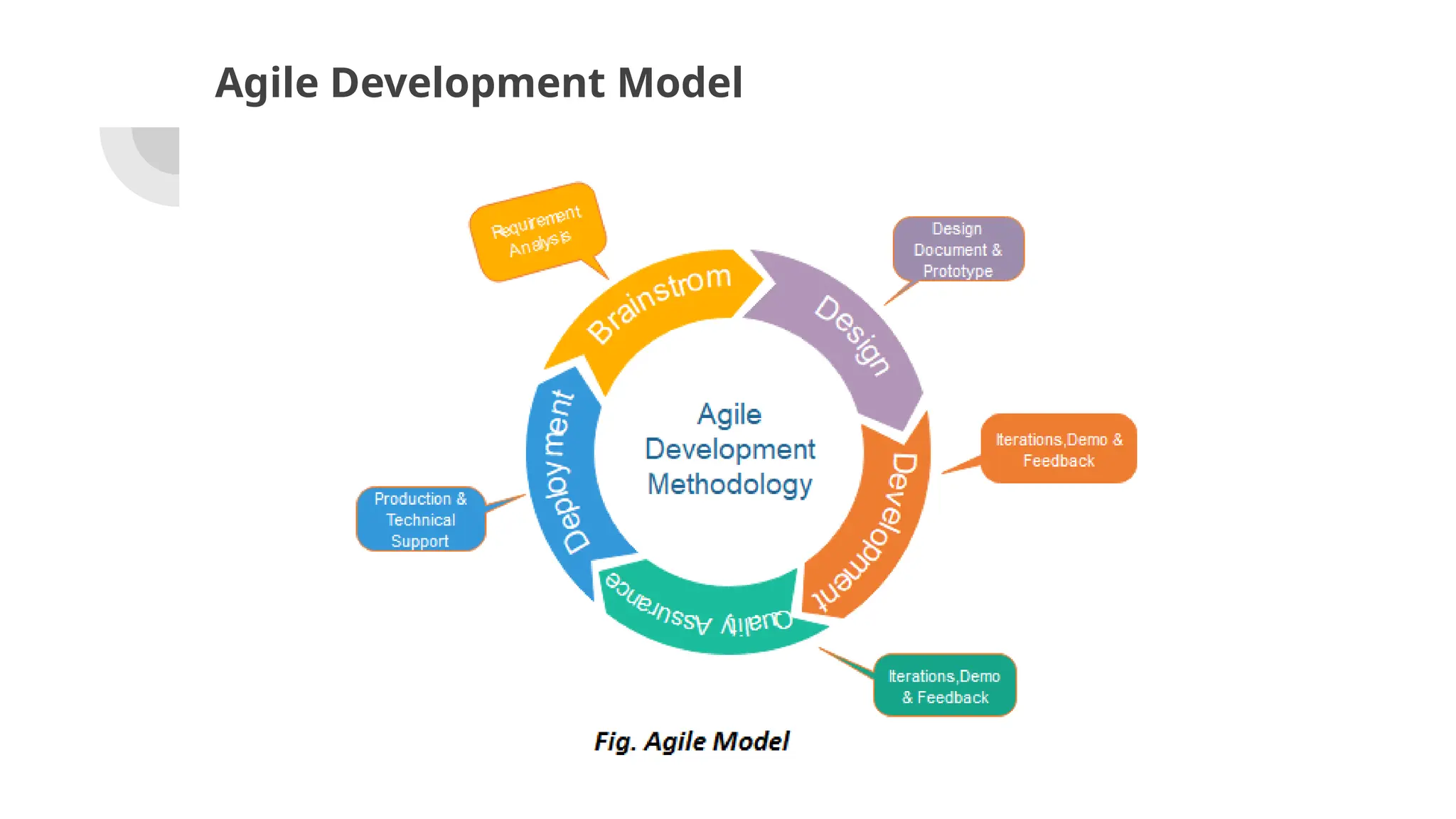 Agile Development Model
 