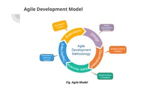 Agile Development Model
 