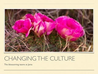 CHANGINGTHE CULTURE
The blossoming teams at Jama
 