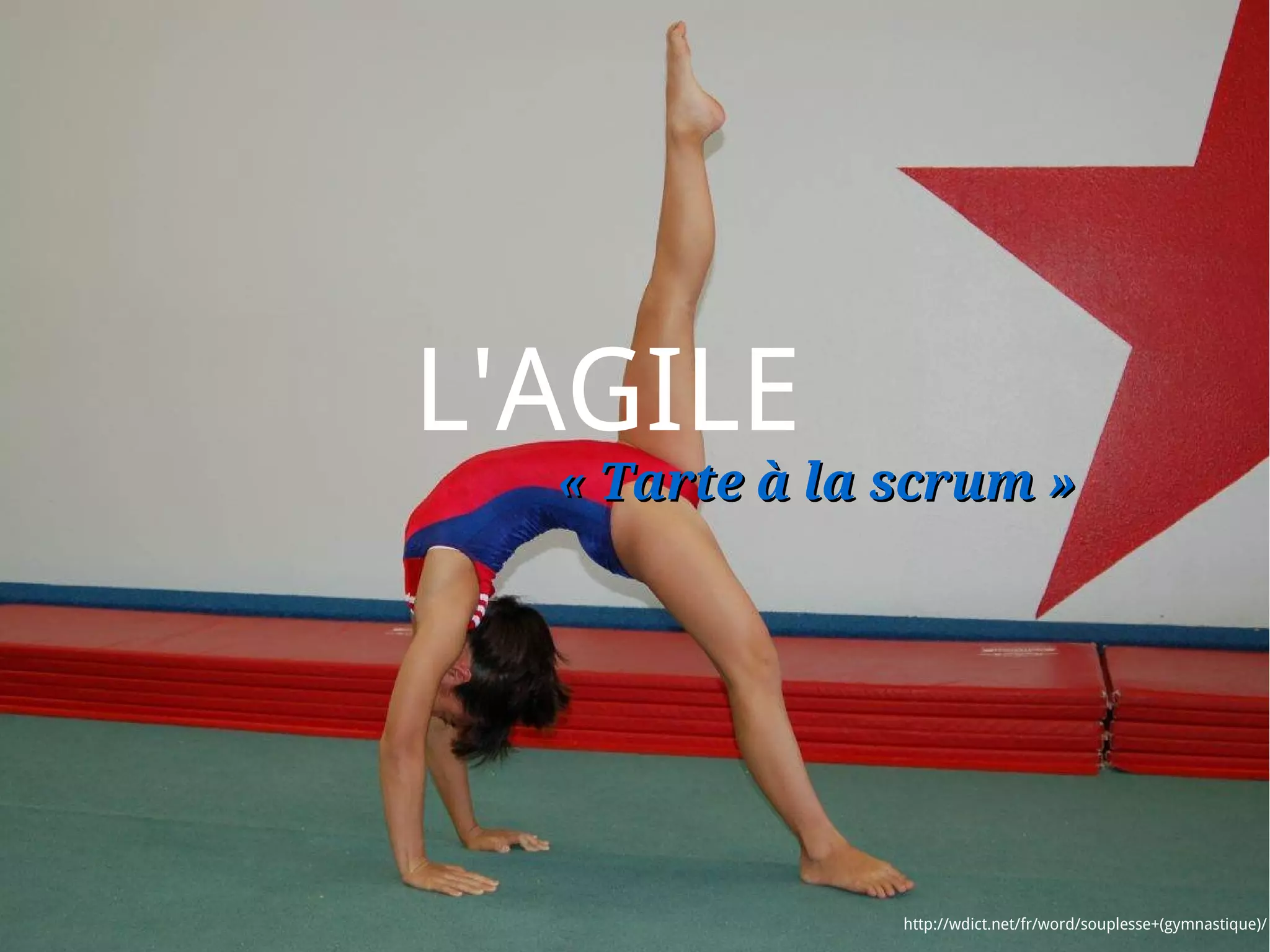 L'AGILE
  « Tarte à la scrum »




               http://wdict.net/fr/word/souplesse+(gymnastique)/
 