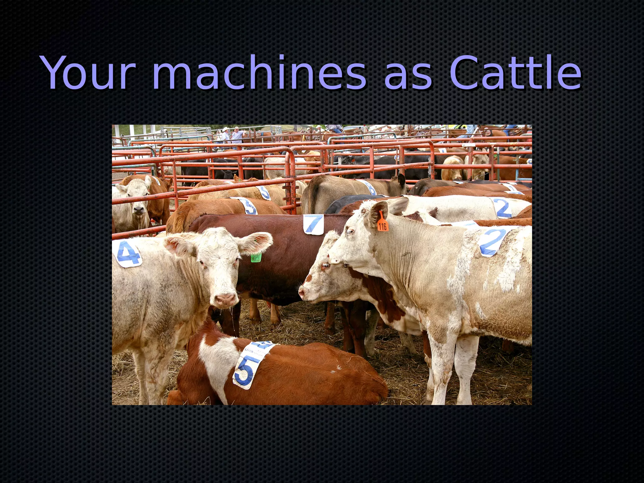 Your machines as CattleYour machines as Cattle
 