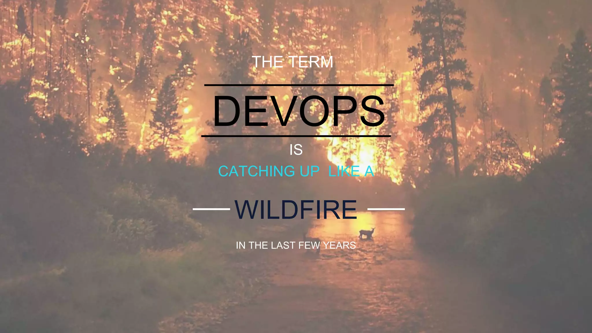 DEVOPS
IS
CATCHING UP LIKE A
WILDFIRE
THE TERM
IN THE LAST FEW YEARS
 
