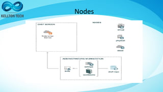 Nodes
 