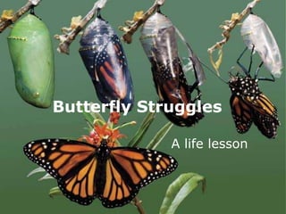 Butterfly Struggles
A life lesson

 