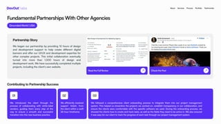 White Label Solutions for Digital Agencies | DevOut Labs.pdf